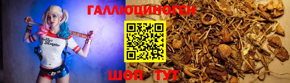 Галлюциногенные грибы Тобольск